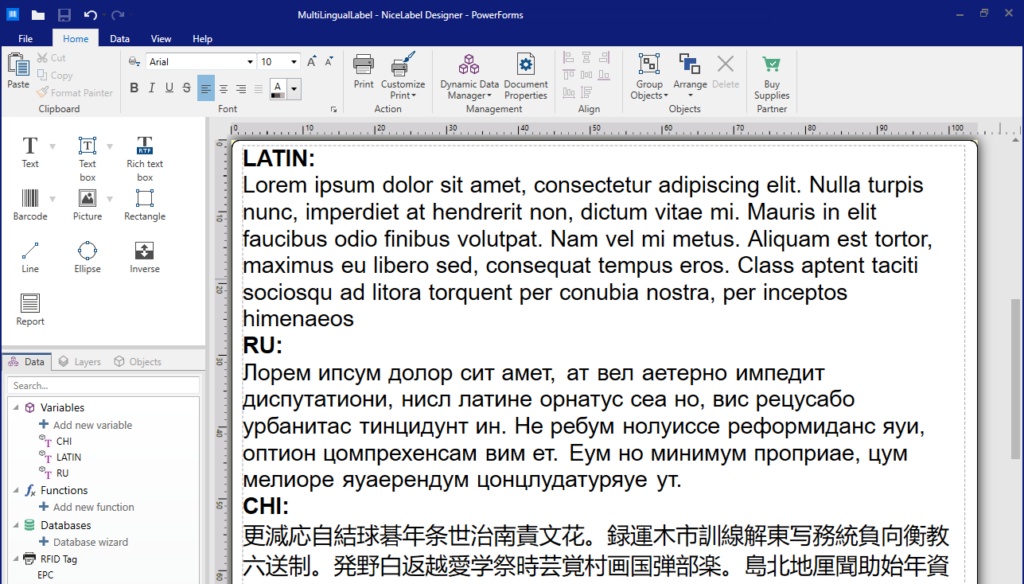 Loftware Nicelabel Multilingual